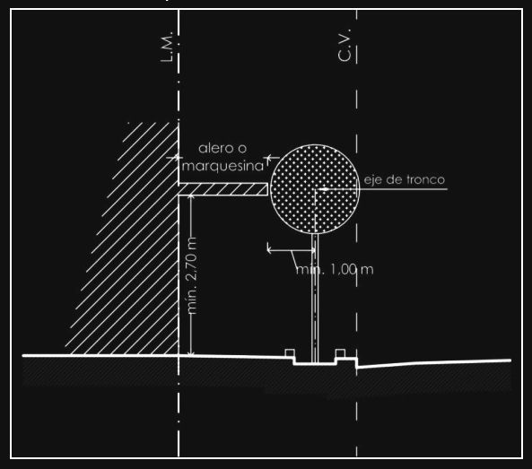 Anexo 3 - Gráfico 13